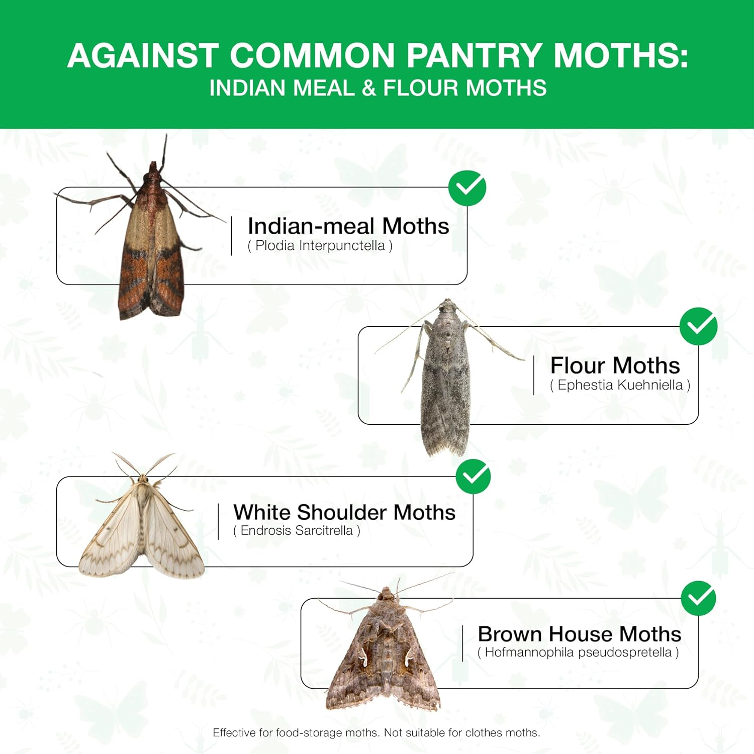 Pantry Moth Traps 8 Pack &ndash; Easy to Use, Long Lasting & Odour-Free - Effective for Dry Goods & Food Storage Areas in Cupboards, Pantries & Kitchen Cabinets image number 4
