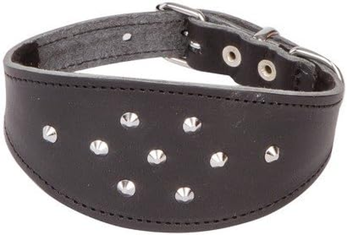 Dingo Decorative Black Leather Collar with Studs for Hound, Whippet, Pariah, Sighthound, Pointer and Other Gun Dog Breeds 12384 image number 2