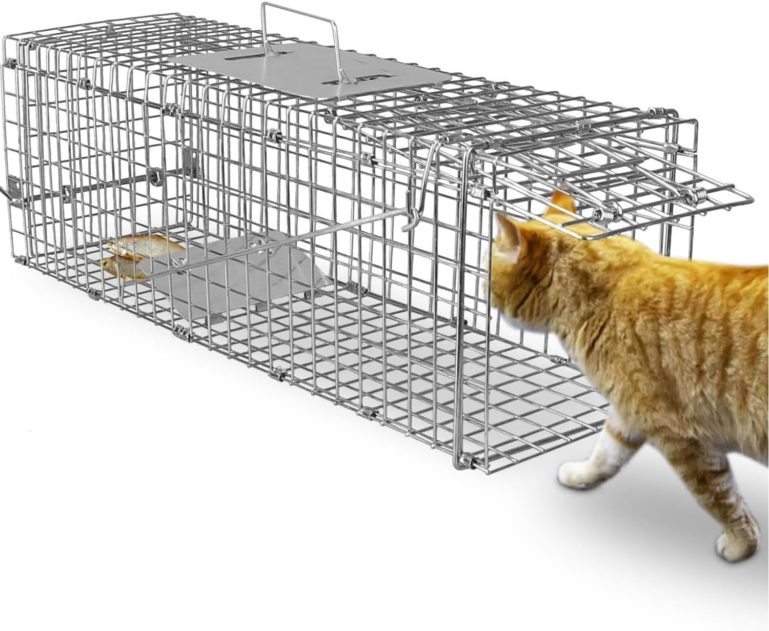 Live Animal Trap Humane Cat Trap Catch Forfor Catching Small Animals like Raccoons, Beavers, Groundhogs, Foxes, Armadillos, Cats, Rabbits, Skunks, Possums. Humane Catch - and - Release. image number 2