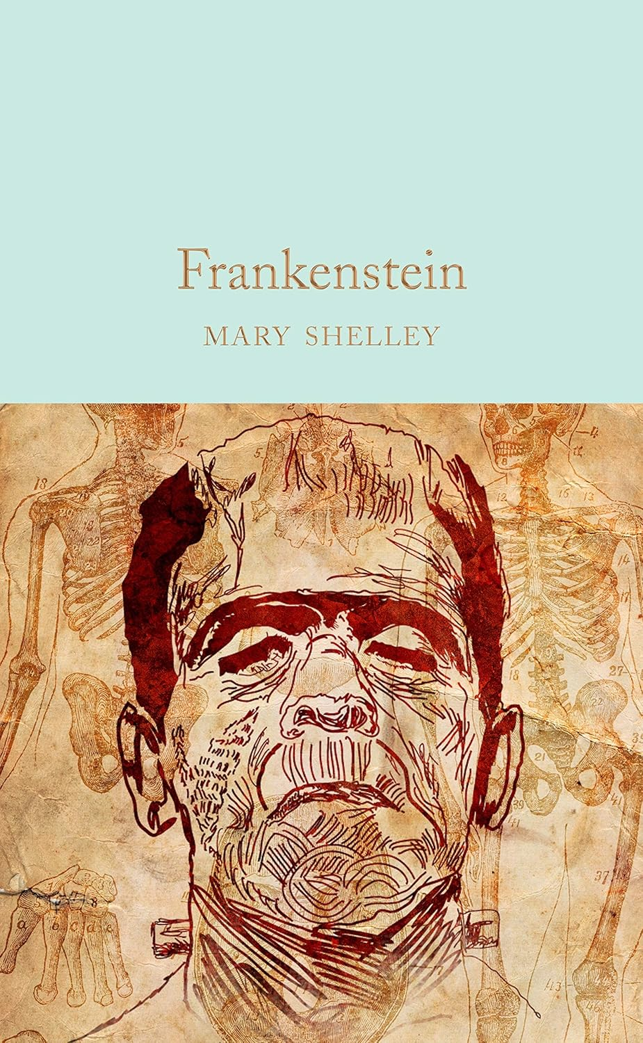 Frankenstein: Or, the Modern Prometheus image number 1
