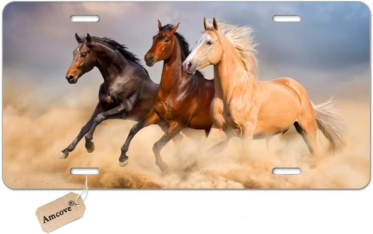 Amcove License Plate Greetings from Nebraska Vintage Rusty Metal Sign with American Flag Aluminum Metal License Plate Car Tag Novelty Home Decoration for Women Girls Men Boys,6 X 12 Inch