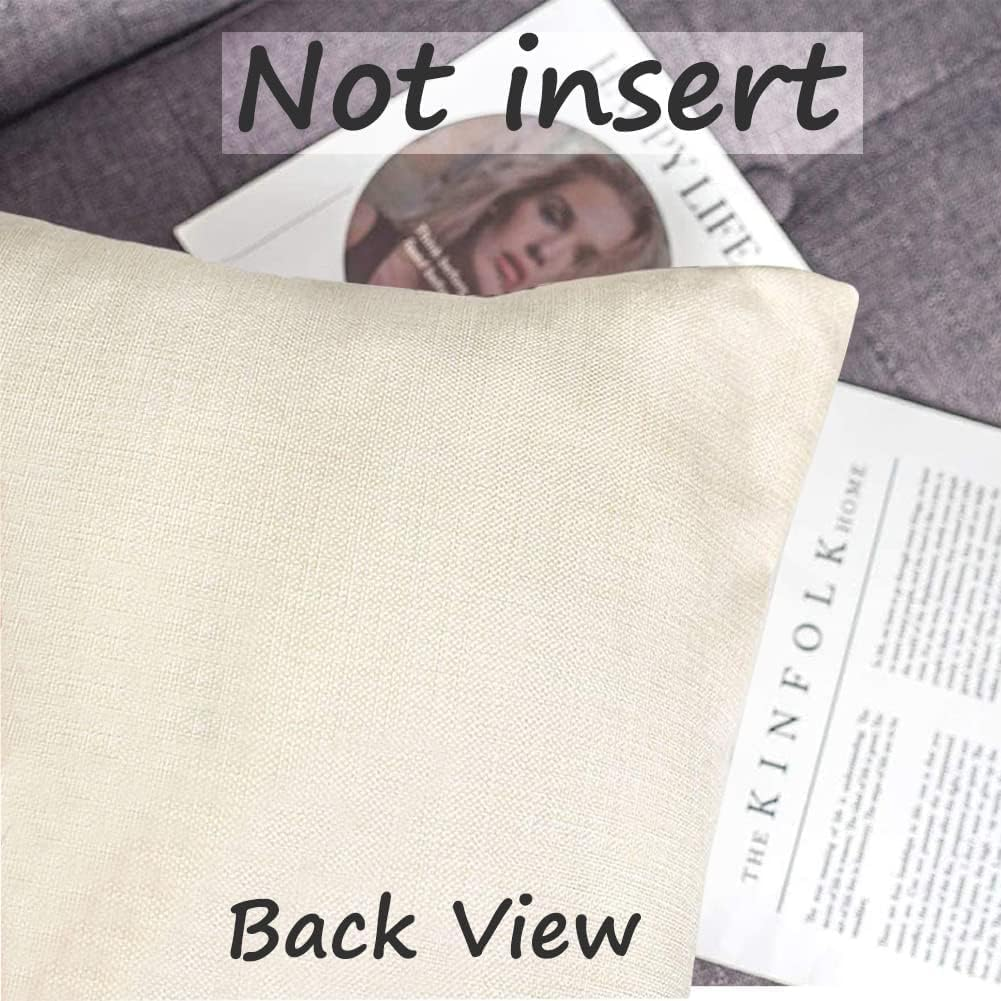 RABUSOFA Spring Summer Pillows Decorative Throw Pillows 20X20,Large Outdoor Bird Pillow Covers,Single Watercolor Hand-Painted Oil Painting Rustic Birds Square Pillow Cases for Couch Sofa image number 1