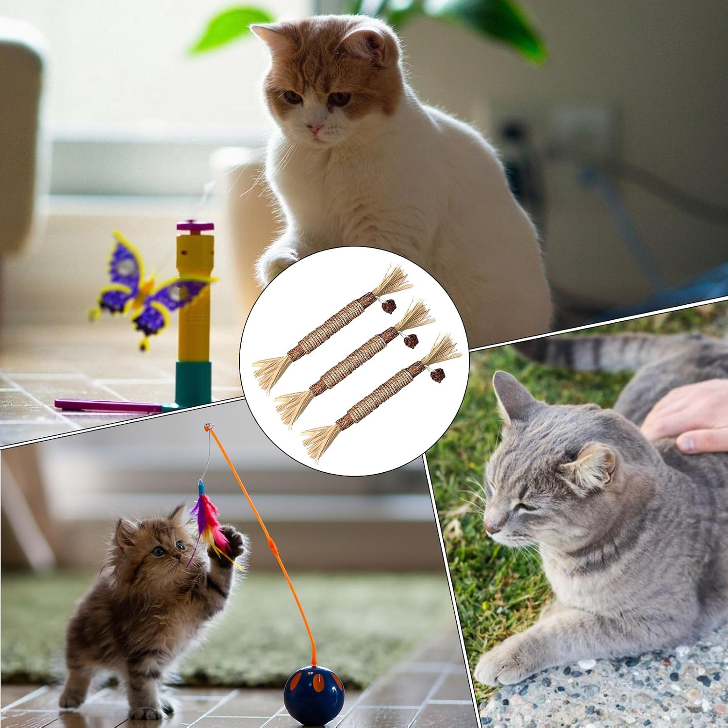 Silvervine Stick - Natural & Safe , Natural Cat Chew Toy, Cat Teething Toy | Stick to Promote Fun Behaviors, Commitment and Wellness image number 4