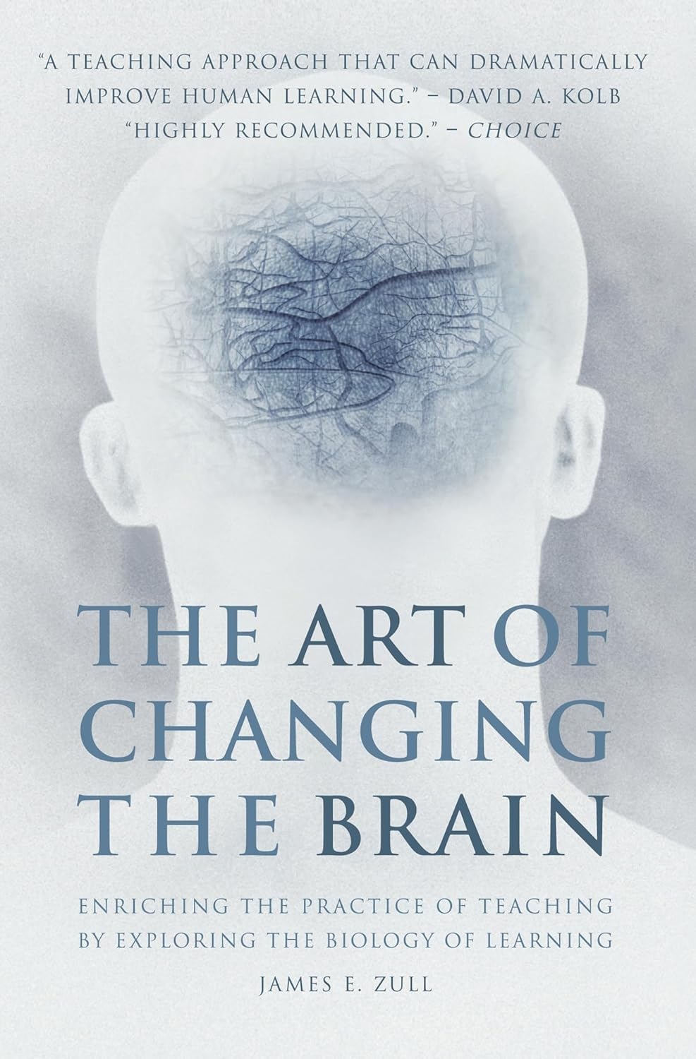 The Art of Changing the Brain: Enriching the Practice of Teaching by Exploring the Biology of Learning image number 1