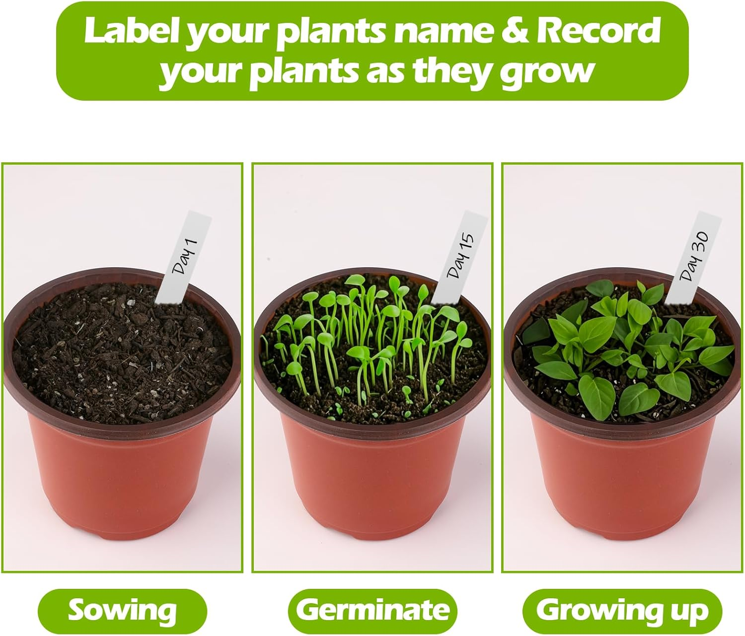 Nursery Pots for Plants 100 Pack, 4" Small Seedling Pot with Labels Seed Starting Pots with Drainage Holes, Plastic Plant Nursery Pots for Succulent Transplanting (Red) image number 1