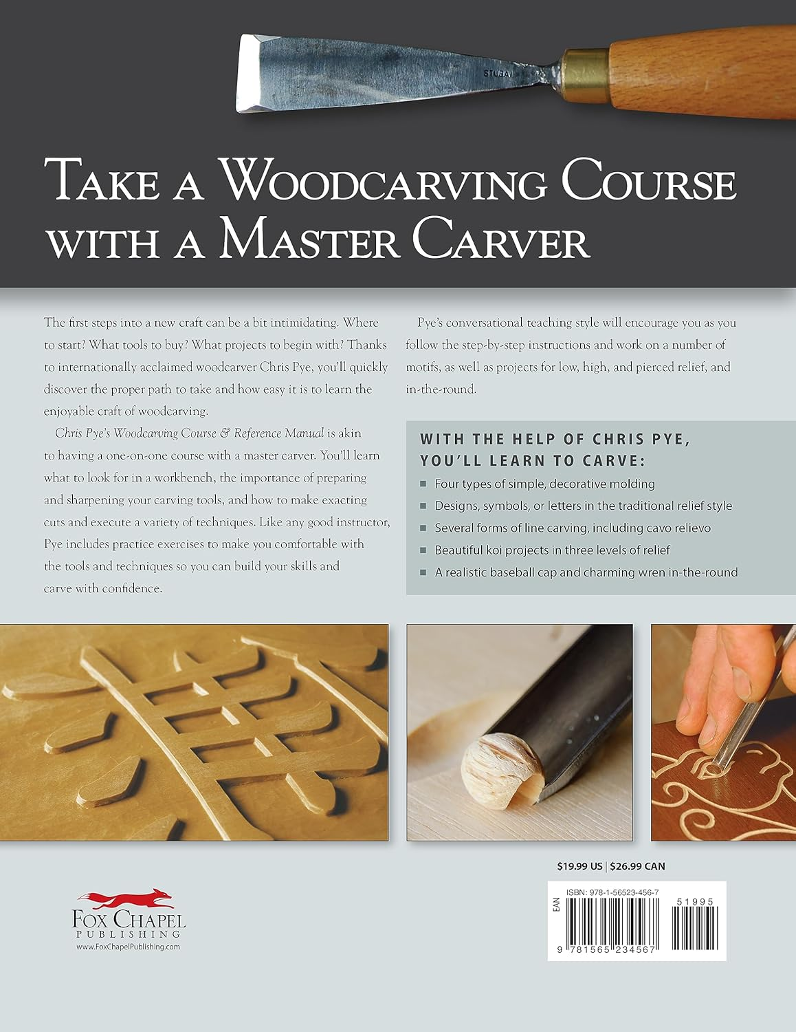 Chris Pye'S Woodcarving Course & Reference Manual: a Beginner'S Guide to Traditional Techniques image number 4