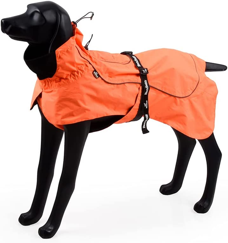 Blackdoggy Waterproof Dog Raincoat with Reflective Trim & Adjustable Belt - Lightweight Outdoor Jacket for Dogs, Easy Clean Design (Medium, Green)