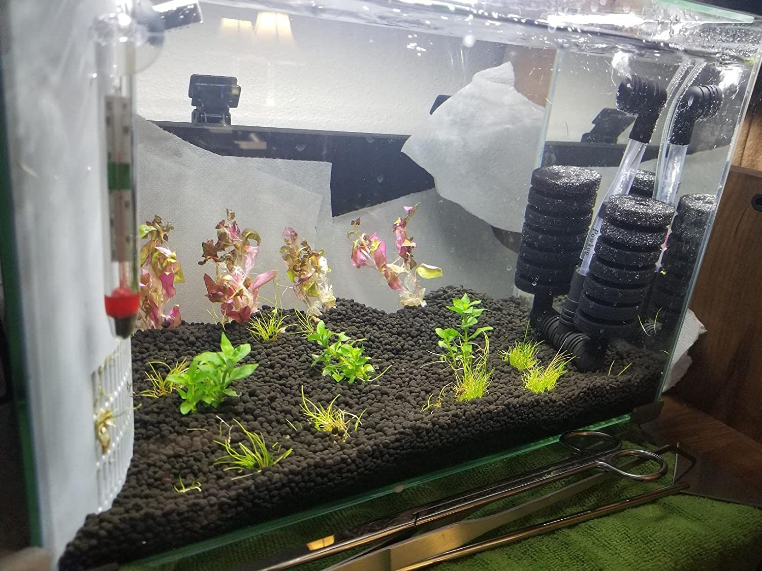 Aquarium Air Filter Double Sponge Filter Fish Tank Sponge Filter Bio Filter up to 20 Gallon image number 4