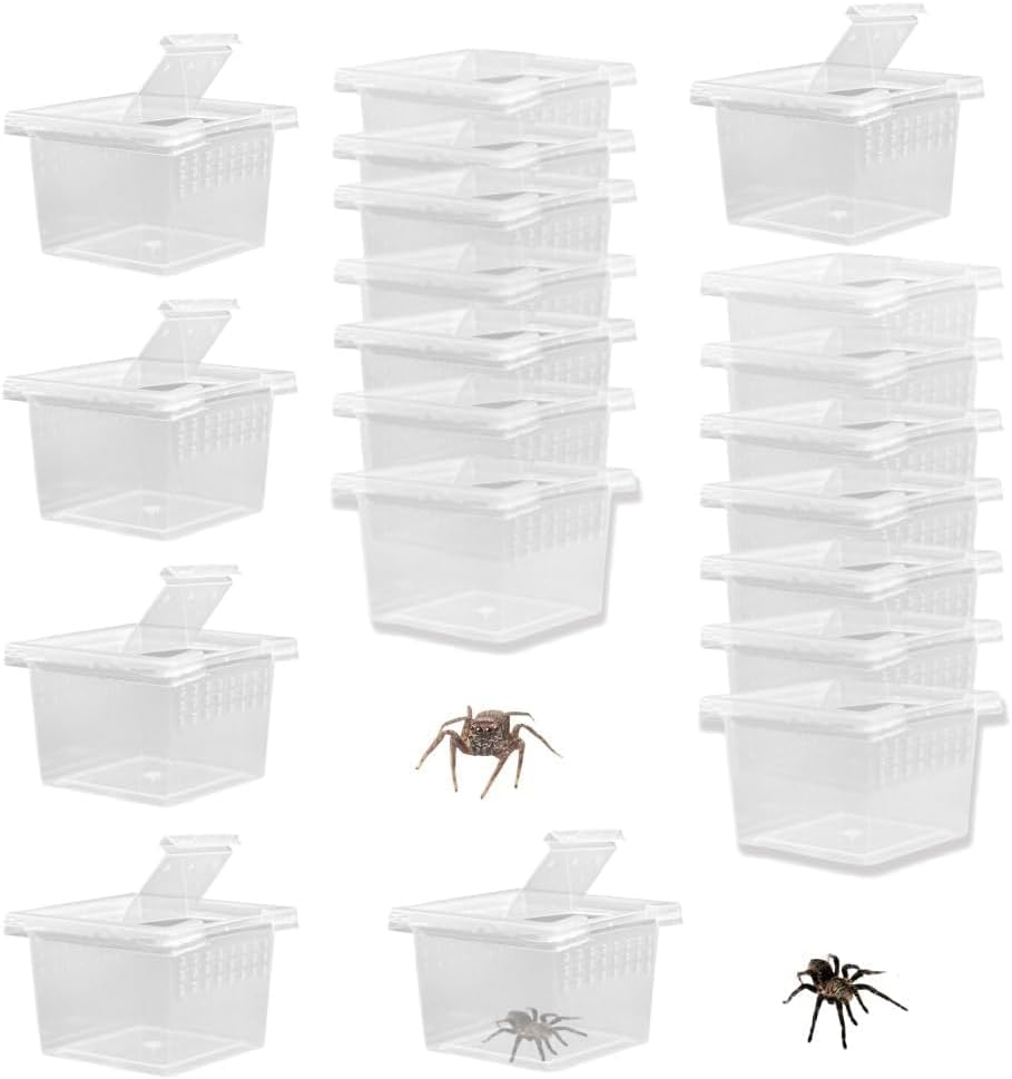 20 Pcs Tarantula Enclosure Insect Spider Terrariums Breeding Box,Insect Spider Terrariums Breeding Box,Small Reptile Arboreal Spider Mantis Scorpion Centipede Breeding Box Breeding Cage with Lid image number 1