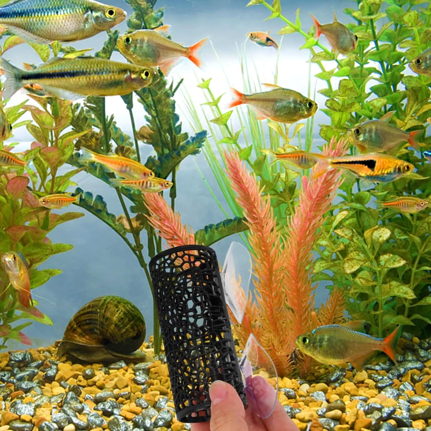 Betta Fish Toys,Betta Tunnel Black,Small Hole Hollow Betta Fish Cave,Safer for Small Fish Shrimp Betta Guppies,Aquarium Decor Fish Tank Accessories Decorations Hideout Tube. image number 3