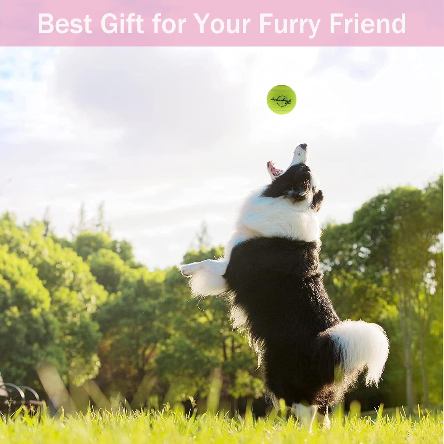 Magicorange Tennis Balls, 20 Pack Tennis Balls for Dogs, Pet Dog Playing Balls, Come with Mesh Bag for Easy Transport, Colorful Easy Catching Pet Dog Balls (Multi-Color) image number 1