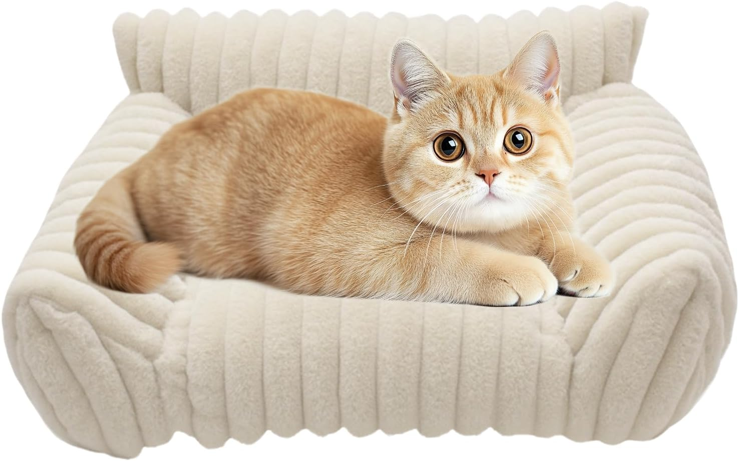 Cat Sofa Bed | Indoor Pet Couch | Elevated Cozy Cat and Dog Sofa Bed for Car Bedroom Apartment Travel Patio Indoors and Outdoors