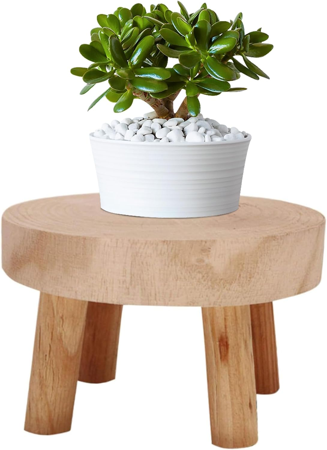 Wooden Plant Stool, Mini Wooden Stool Display Stand, round Decorative Flower Shelf Bonsai Rack, Small Table Succulents Flower Shelf, Modern Plant Stand for Indoor Outdoor Decoration, Garden Holder (S) image number 1