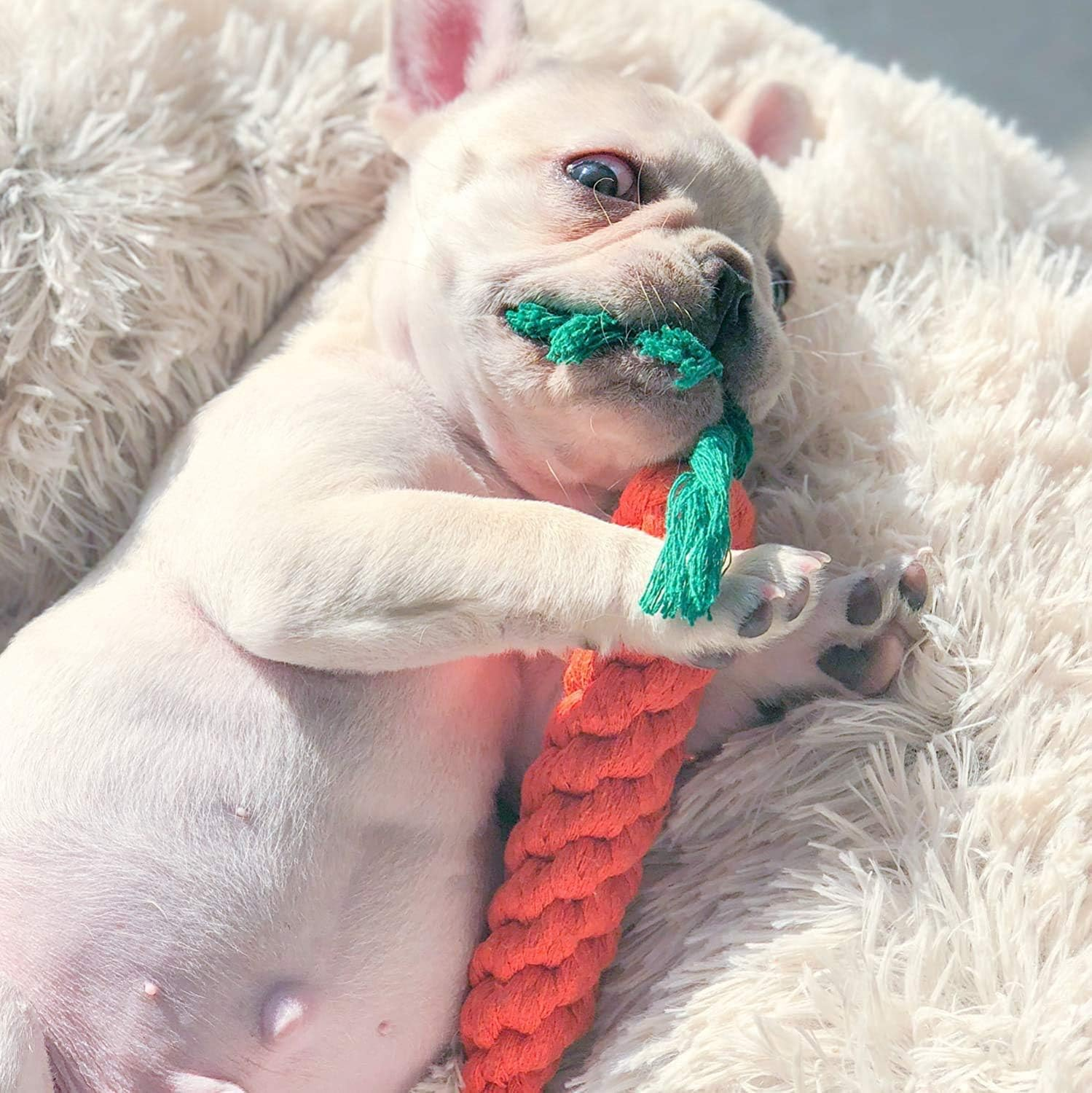 MEKEET Dog Puppy Boredom Rope Toy, 2 Pack Cotton Natural Teeth Cleaning Chew Rope Dogs Ball Knot Training Toy Small Dogs Toy image number 2