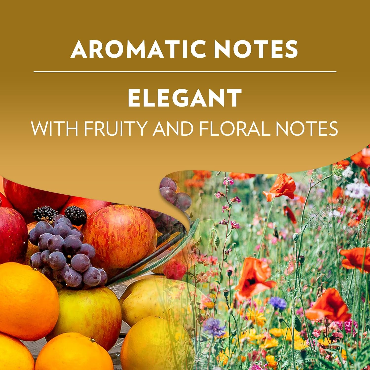 Lavazza, a Modo Mio Qualit&agrave; Oro, 96 Coffee Pods, Ideal for an Espresso with Floral and Fruity Notes, 100% Arabica, Intensity 8/13, Medium Roast, 6 Packs of 16 Coffee Pods