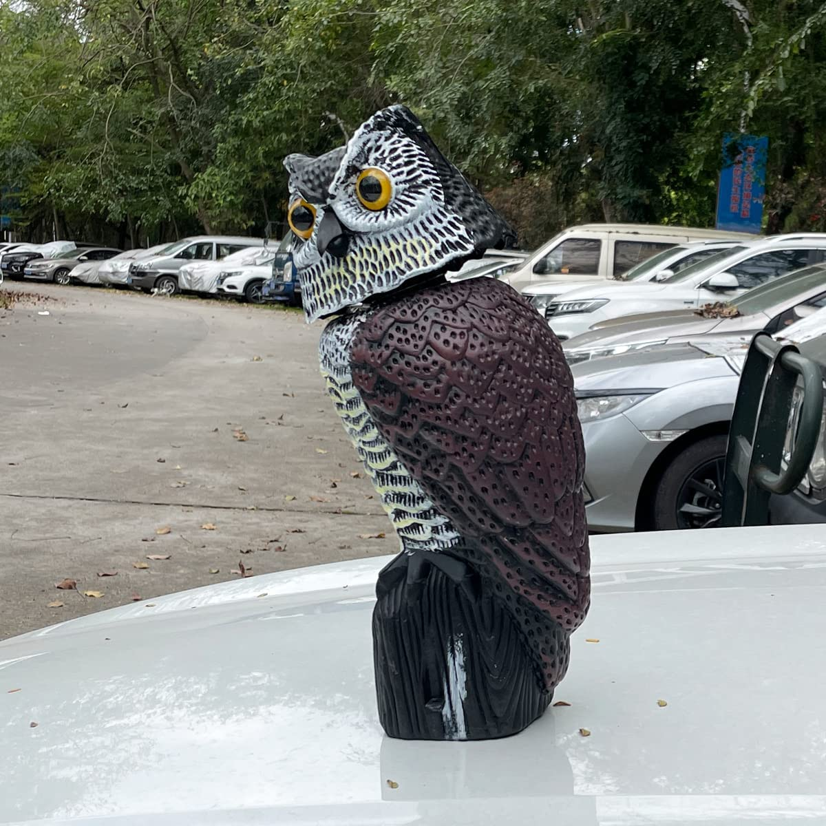 Skycabin Realistic Owl Humane Decoy Deterrent with Rotating Head Scare Bird from Gardens, Farms & Balconies,Natural Scarecrow Owl Statues as Yard Decoration Garden Protector image number 2