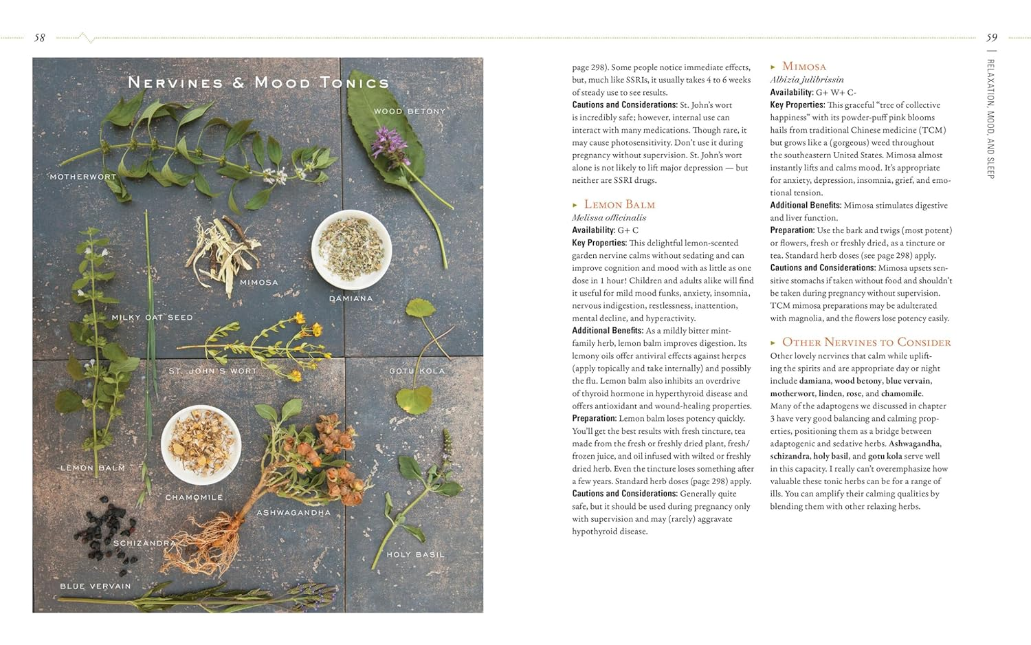 Body into Balance: an Herbal Guide to Holistic Self-Care image number 6