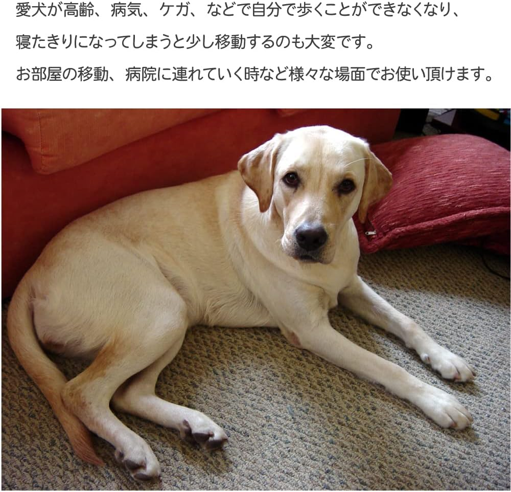 Fantasy World Pet Stretcher Other Black Dog image number 1