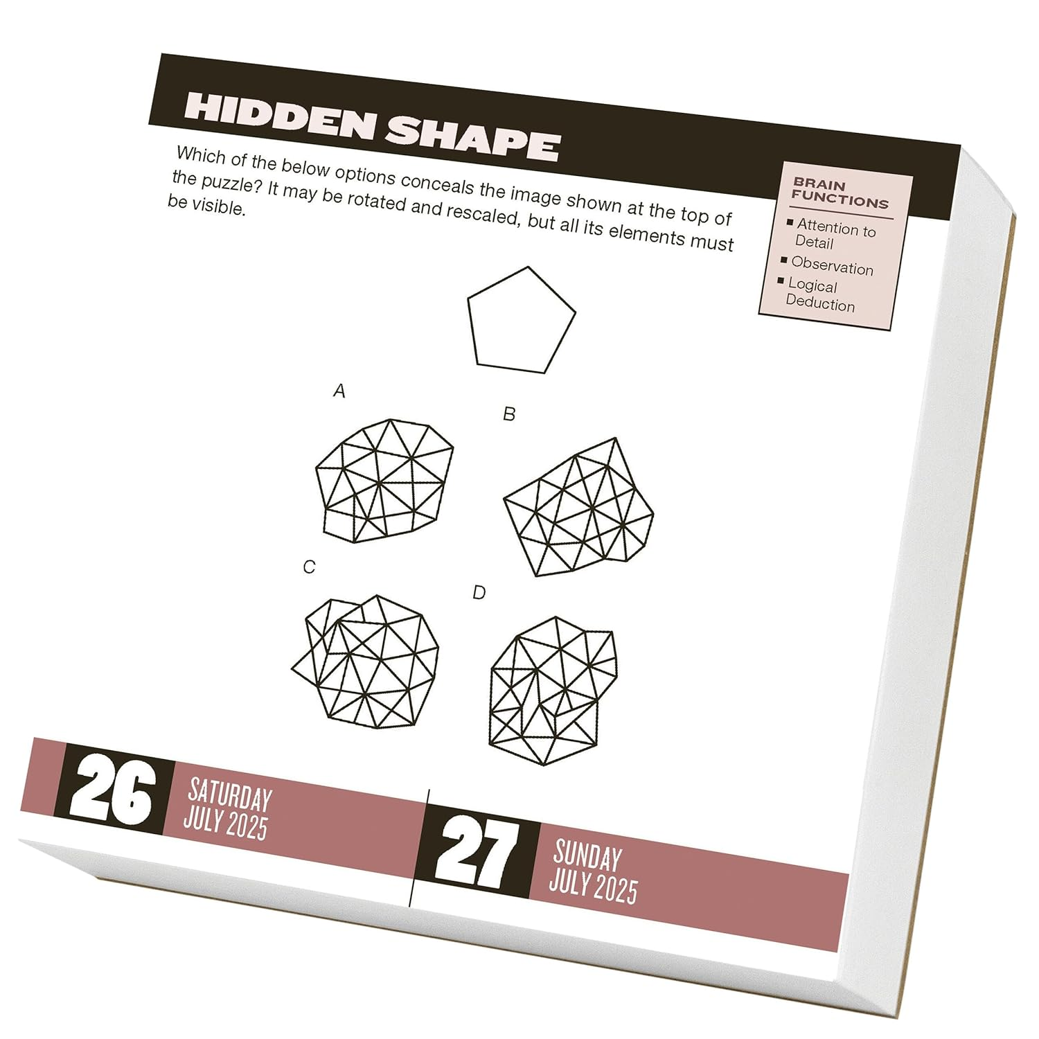 Brainpower Puzzles Page-A-Day Calendar 2025: a Year of Games to Sharpen Your Mental Fitness image number 3