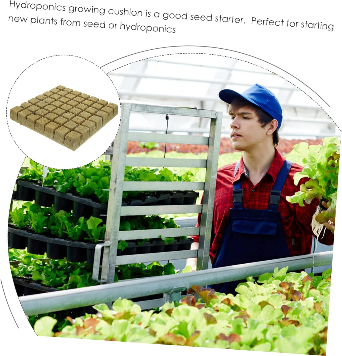 Parliky Hydroponic Grow Cubes Soilless Cultivation Nursery Blocks Lightweight Air Permeable Planting Supplies for Seed Starting and Greenhouse Gardening image number 4