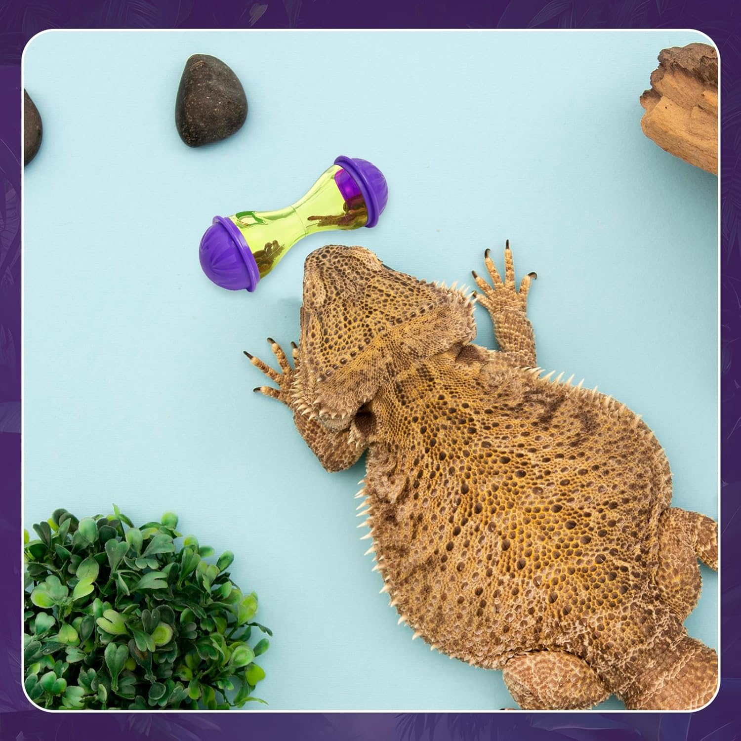 Bearded Dragon Toys Reptile Feeder Toy,Bearded Dragon Accessories Reptile Feeder Enrichment Toys for Bearded Dragons, Gecko,Lizard,Gecko, Small Animals,Set of 2 image number 1