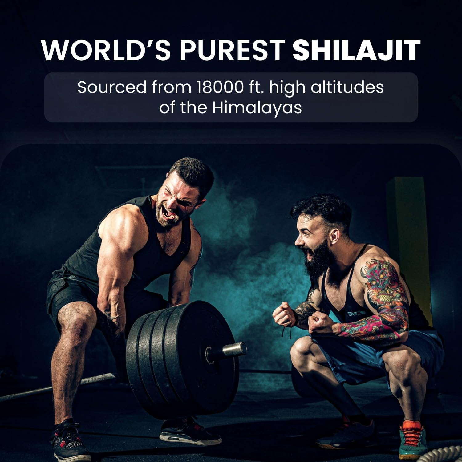 Himalayan Organics 100% Pure Shilajit/Shilajeet Resin to Boost Performance,Power, Stamina, Endurance, Strength with Fulvic Acid & 85+ Trace Minerals Complex for Energy - 20G