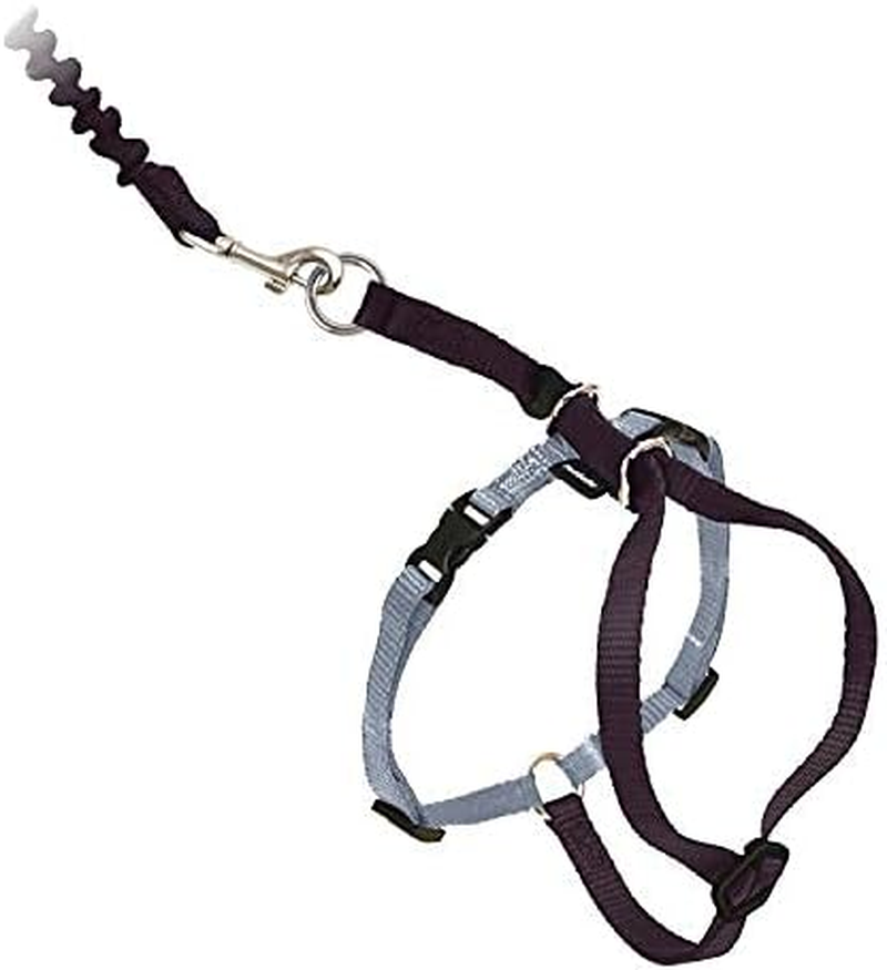 Petsafe Come with Me Kitty Harness and Bungee Leash, Small, Black