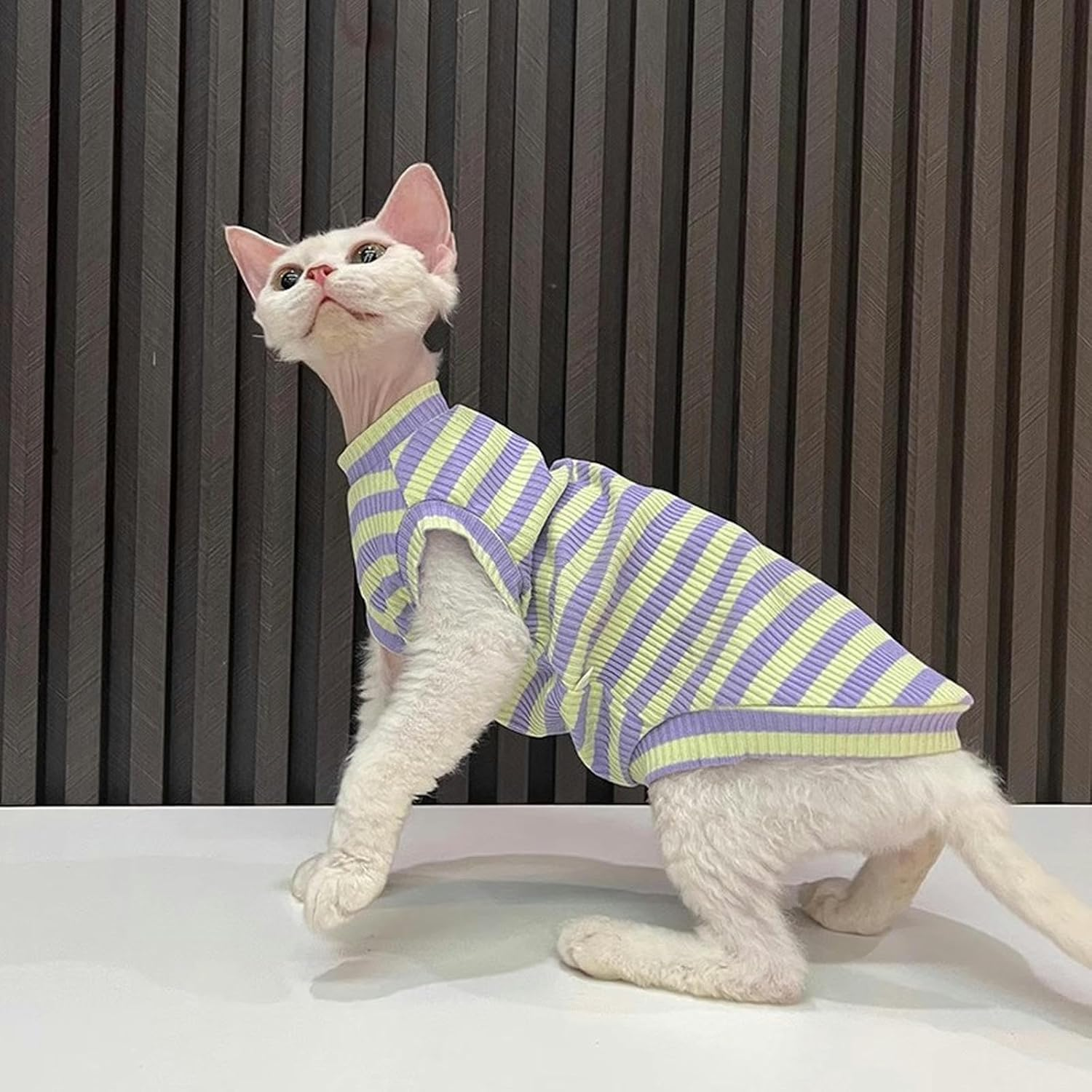 IUOUTG Sphynx Hairless Cats Clothes Striped Cat Shirts round Collar Cute Kitten T-Shirts Sleeveless Cotton Cats & Small Dogs Apparel for Cornish Rex, Devon Rex image number 2