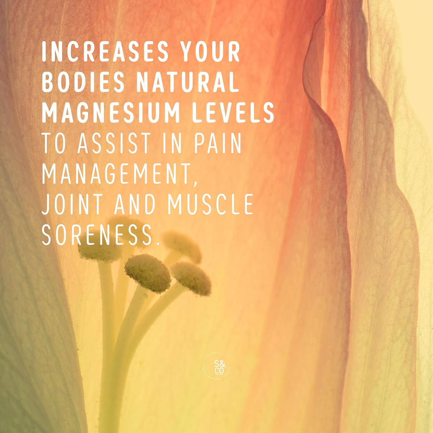 Salts & Co. Epsom and Hibiscus Floral Bath Salts 900 G image number 3