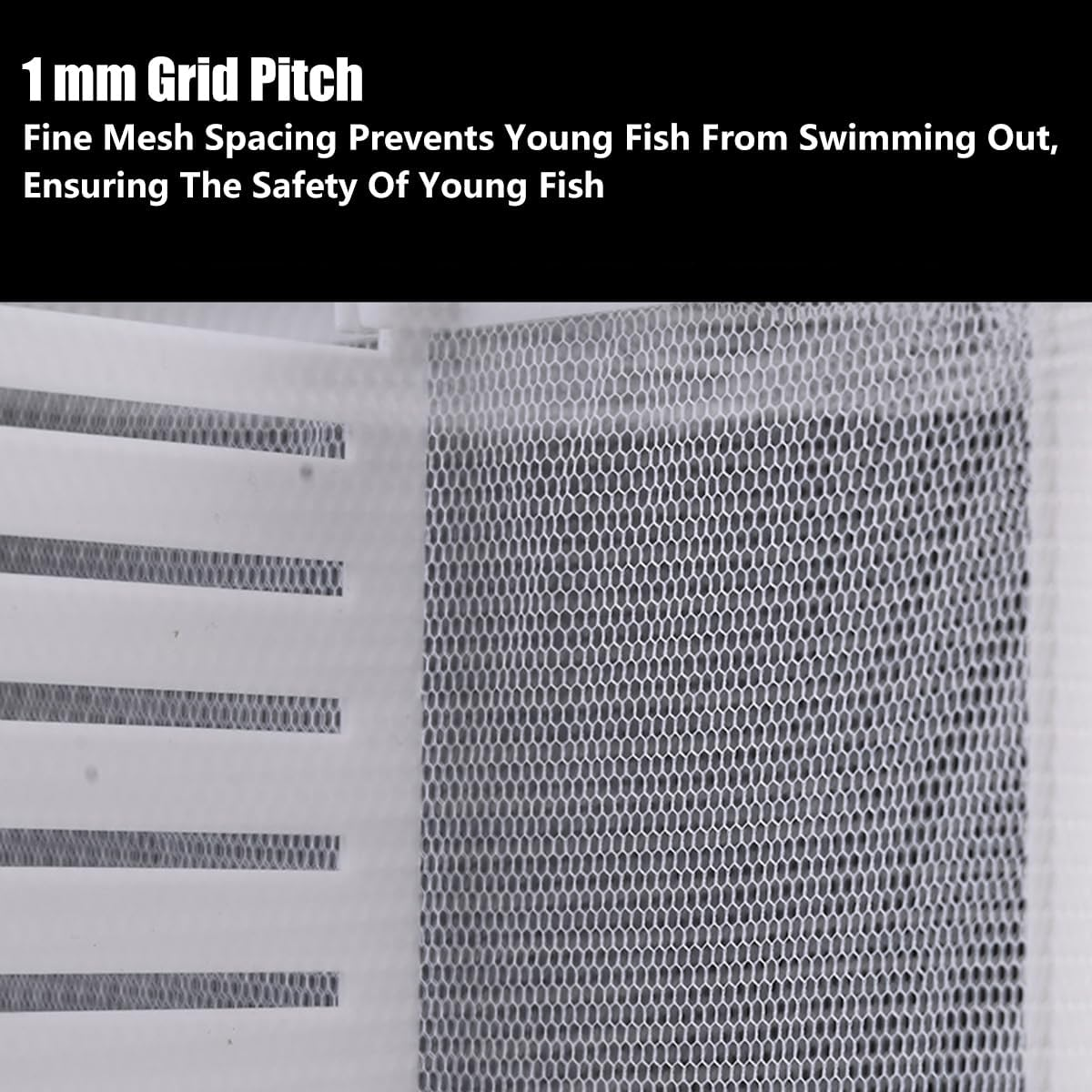 AIMALL 2Pcs Fish Fry Breeding Box Guppy Fish Hatching Box, Juvenile Fish Isolation Net, Small Fish Incubator, Aquarium Isolation Box for Breeding and Protection image number 2