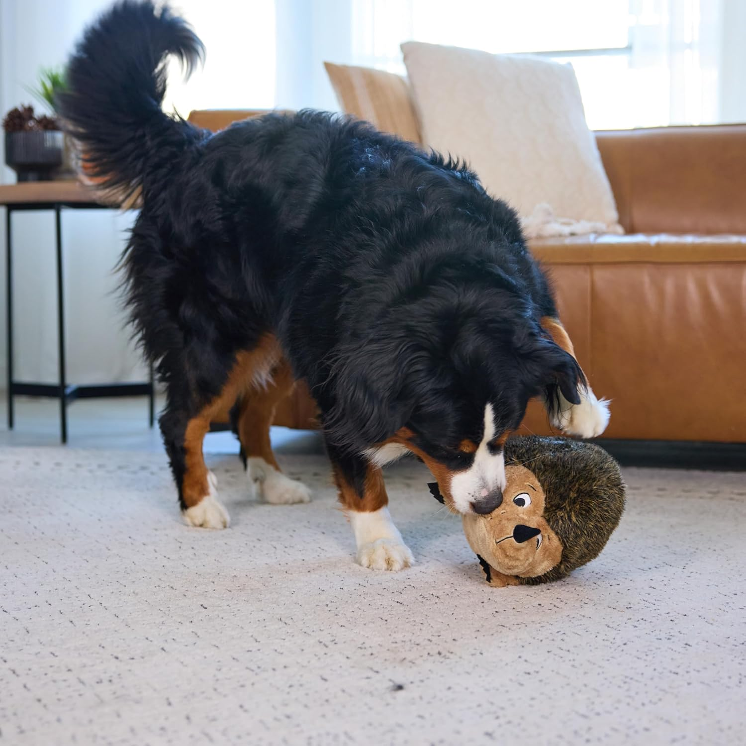 Outward Hound Hedgehogz Squeak and Grunt Dog Toy image number 1