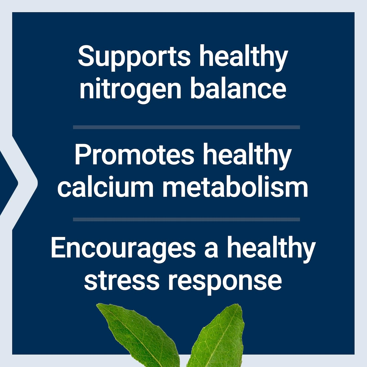 Life Extension L-Lysine 620 MG 100 Veg Caps image number 5