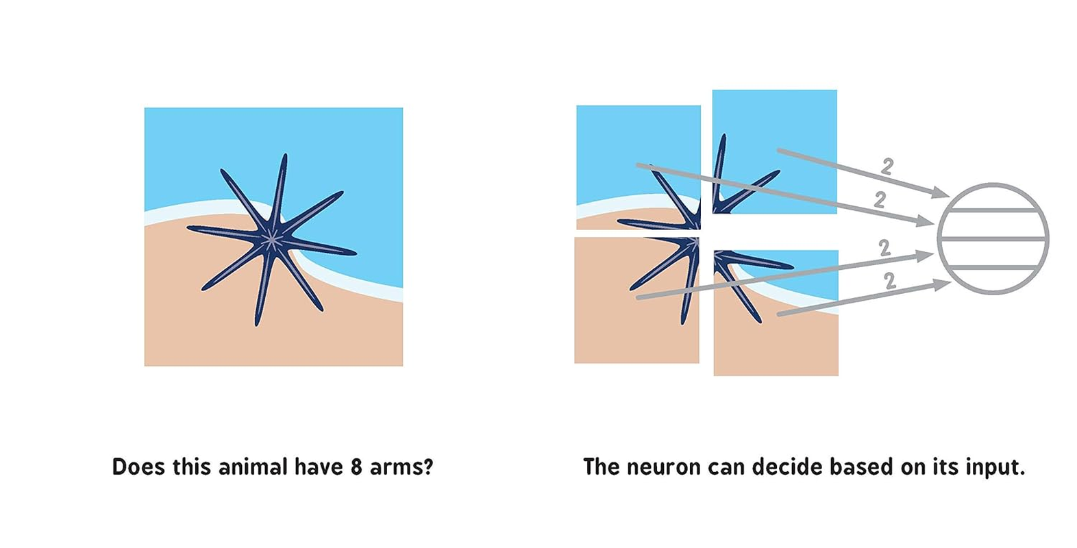 Neural Networks for Babies image number 3