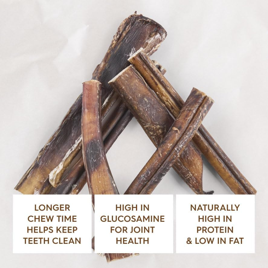 Kazoo Prime Cuts Aussie Bull Chews - 300Gm image number 3