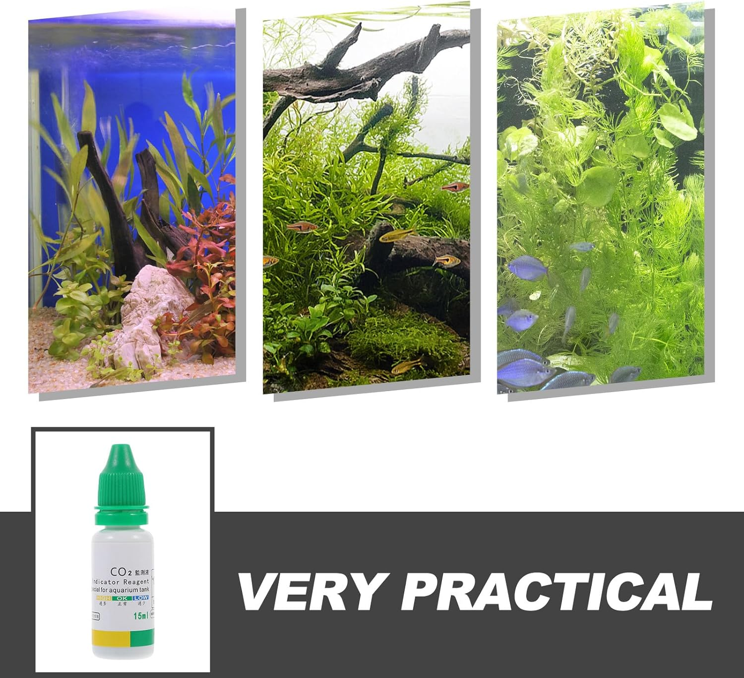 FIXOSHEE Aquarium Co2 Testing Kit Drop Checker Solution 15Ml for Fish Tank Water Quality Detection Aquarium Test Indicator for Aquatic Pets image number 3