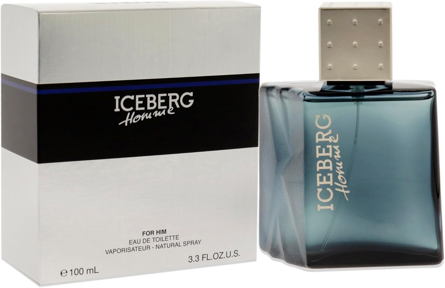 Iceberg Homme by Iceberg for Men - 3.3 Oz EDT Spray image number 3