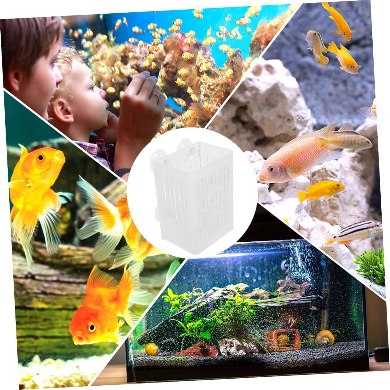 2 Pcs Wezxrauo Aquarium Plant Holder with Suction Cups, Fish Tank Grass Planter for Aquatic Plants, Moss Decor, Underwater Planting Cups for Aquascape Decorations image number 5