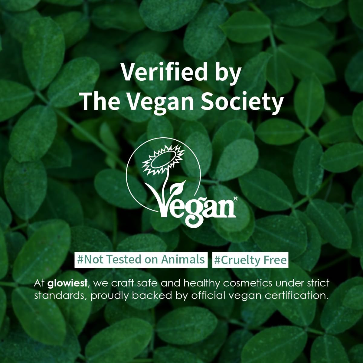 Glowiest Dream Glow Camellia Essence Mist- Glass Skin Hydration & Soothing. Glow-Booster ; All in One Multi Mist+Toner+Serum L 75% Camellia Flower Water (2.70 Fl. Oz (80 Ml)) image number 1