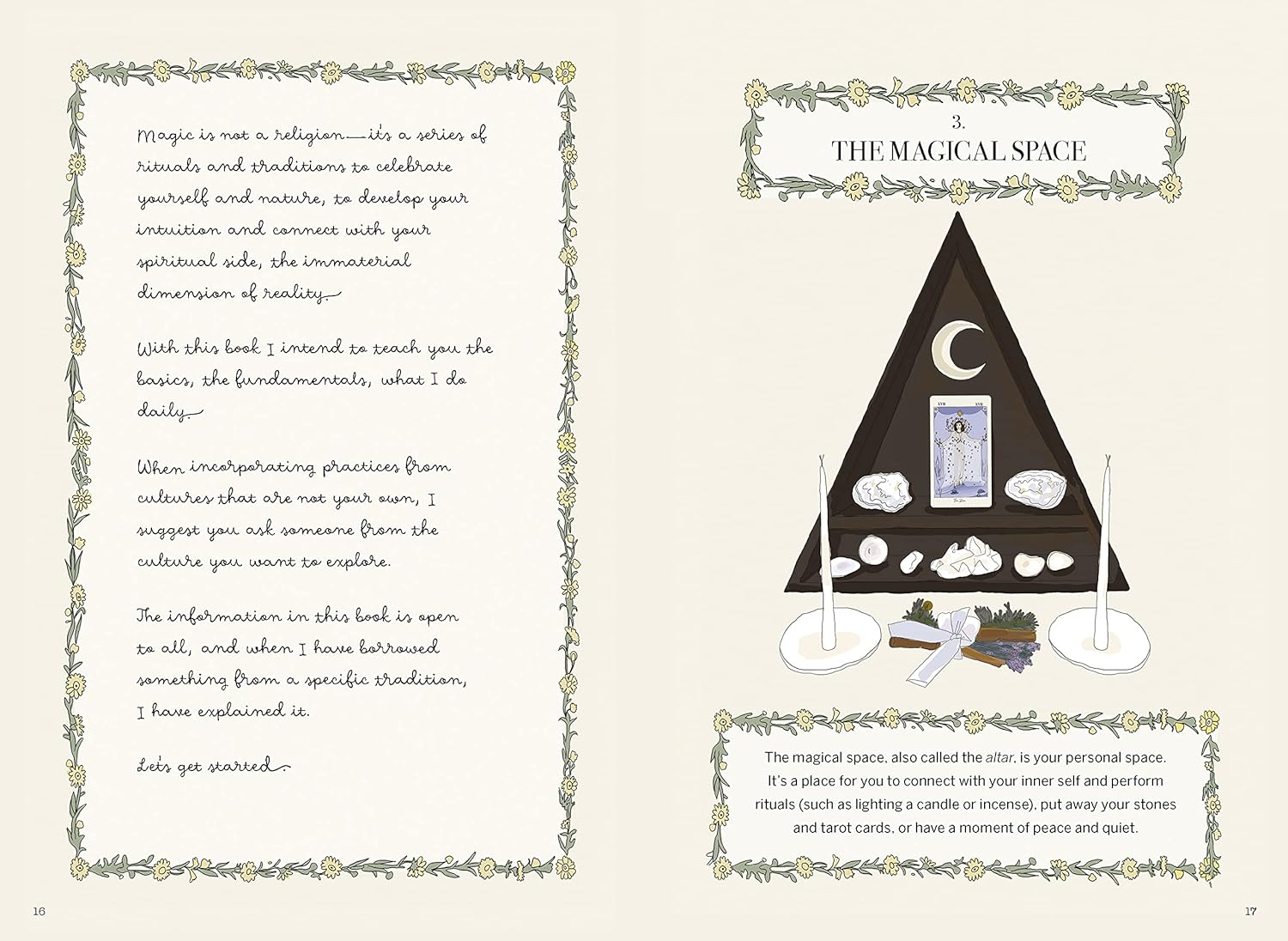 Magicka: Finding Spiritual Guidance through Plants, Herbs, Crystals, and More image number 3