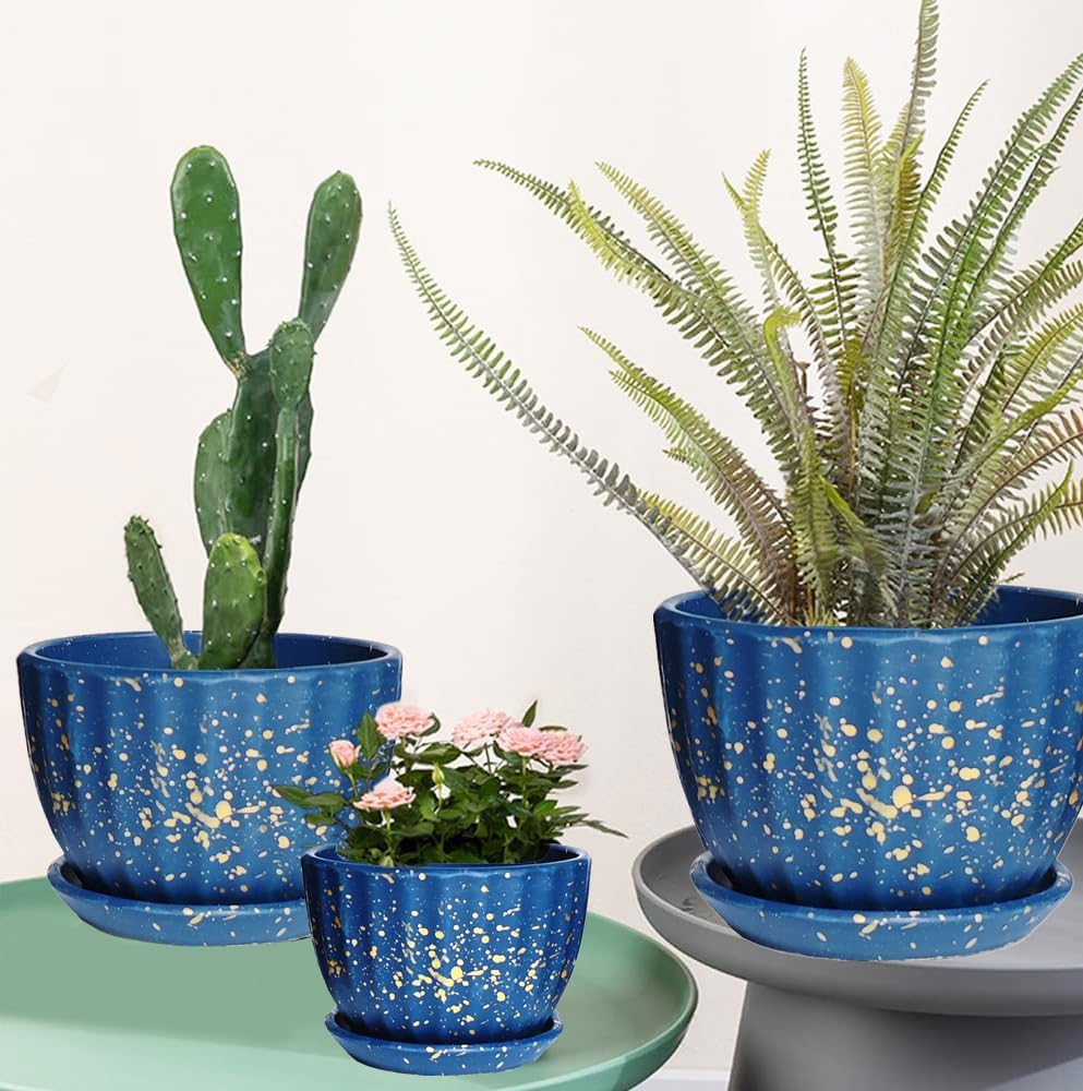 NASHRIO 3-Piece Small Ceramic Plant Pots with Drainage Holes - Indoor/Outdoor Decorative Flower Pots for Succulents, Mini Cacti, Herbs (Set of 3) (A)