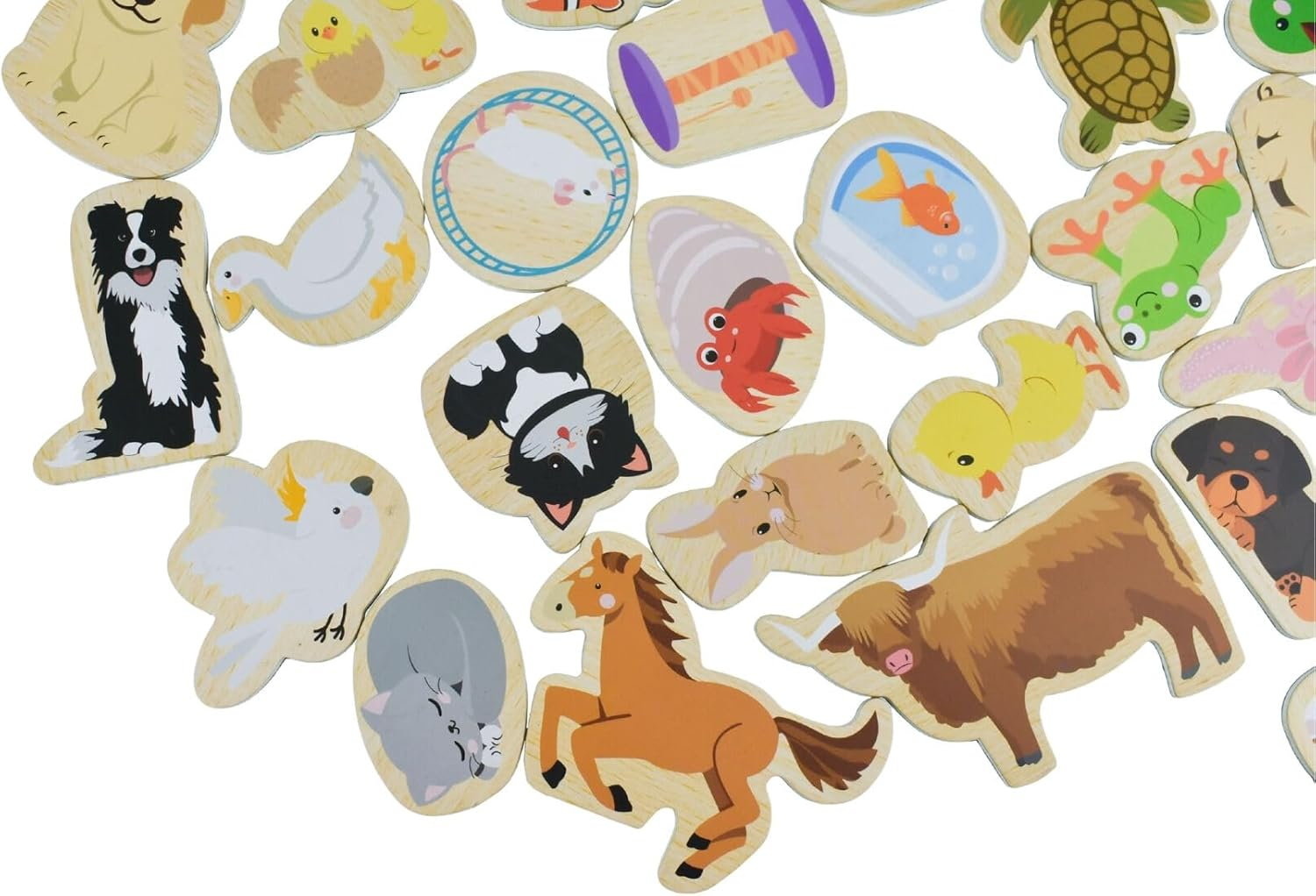 Koala Dream - Fridge Friends Pets Set | 30Pcs Fun Pet-Themed Educational Animal Magnets for Kids image number 1