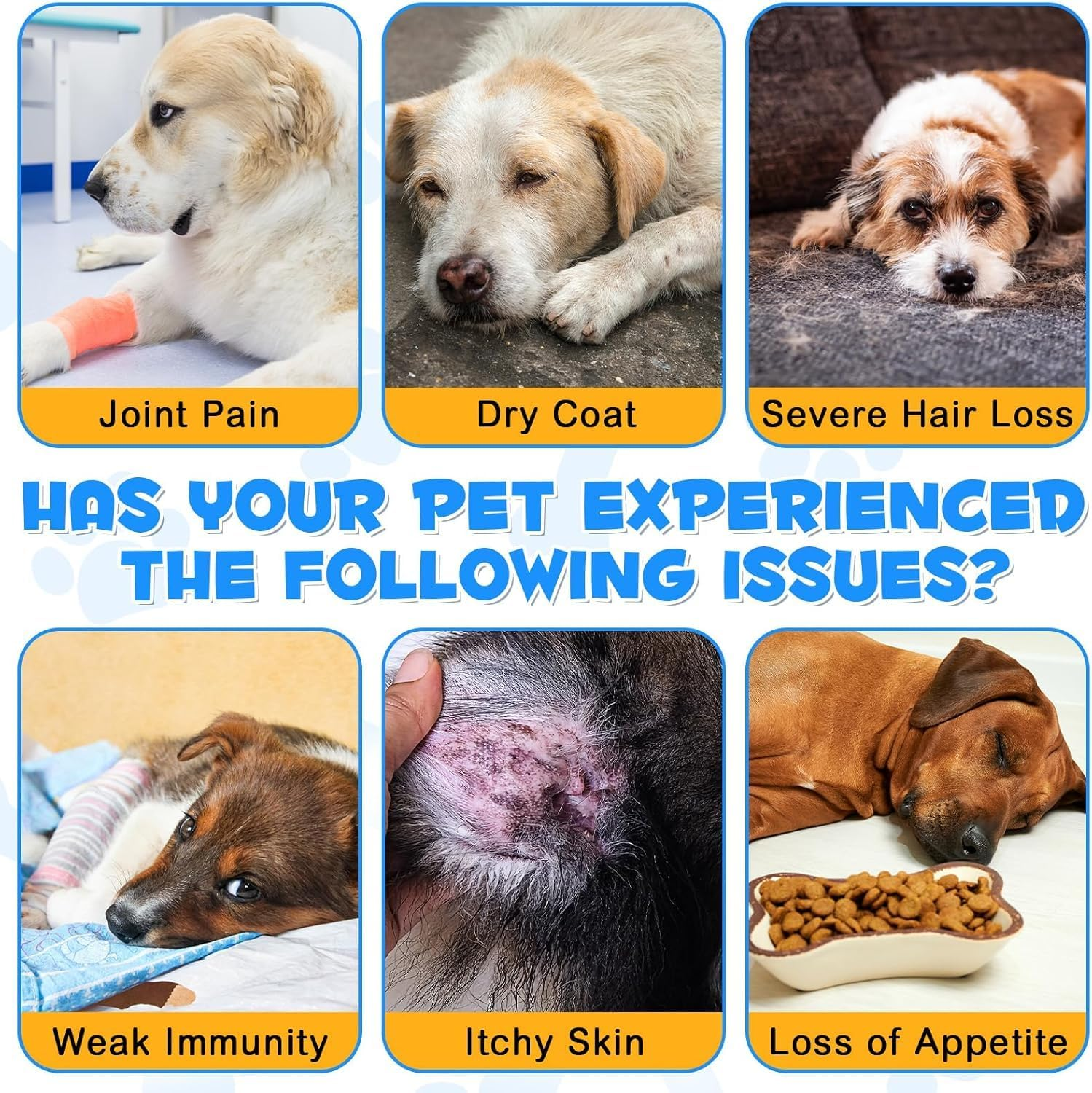 Collagen for Dogs - Itch Relief Allergies - Skin Coat Joint Health - Collagen Biotin MSM Ginger Vitamin C - Digestive & Immunity Support - Supplement with Bacon Flavor, 60Ml image number 3