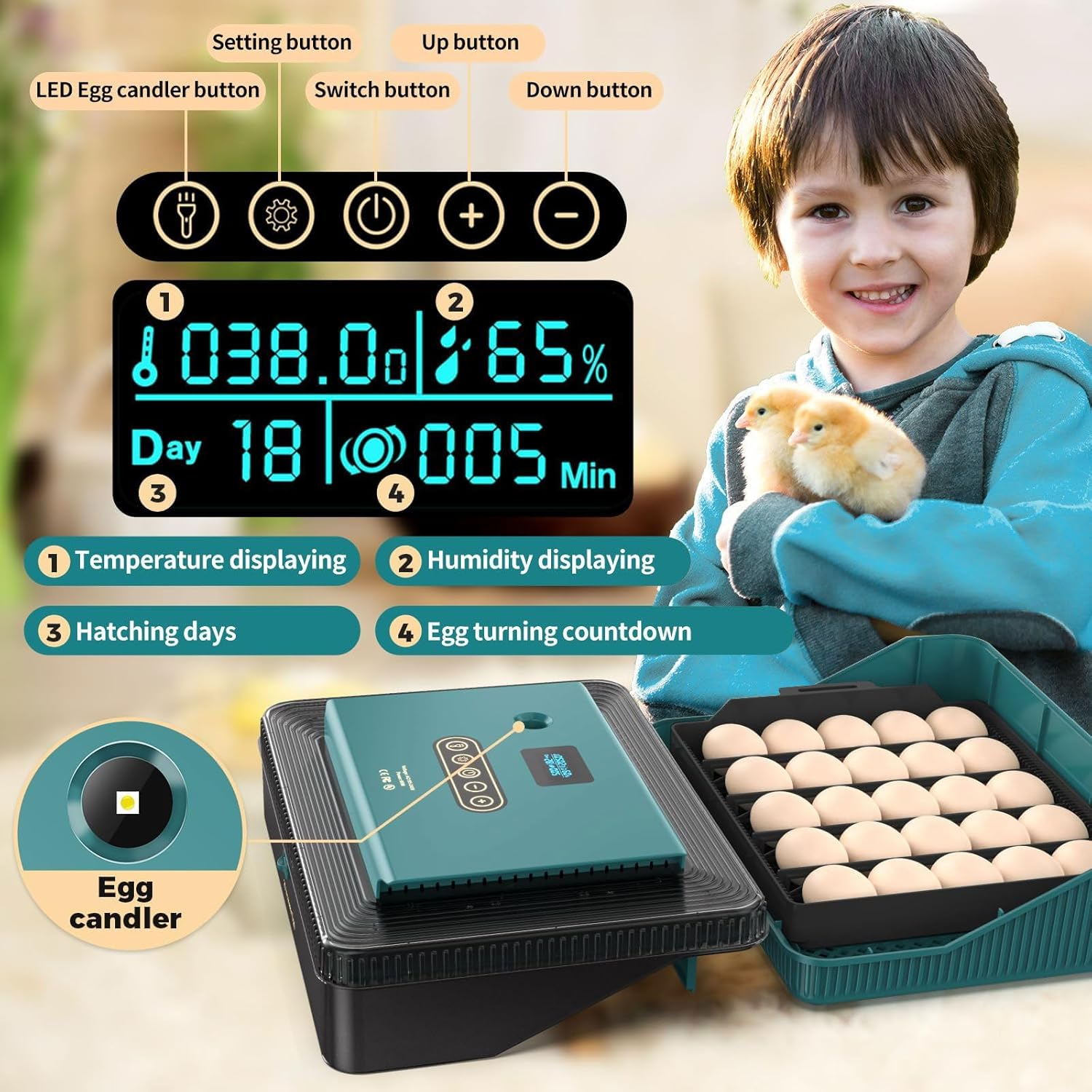 Pet Scene 25 Egg Incubator Auto for Hatching Chicks with Automatic Egg Turner Pro, Humidity Display, Egg Candler, Egg Incubator for Chicken, Duck image number 6