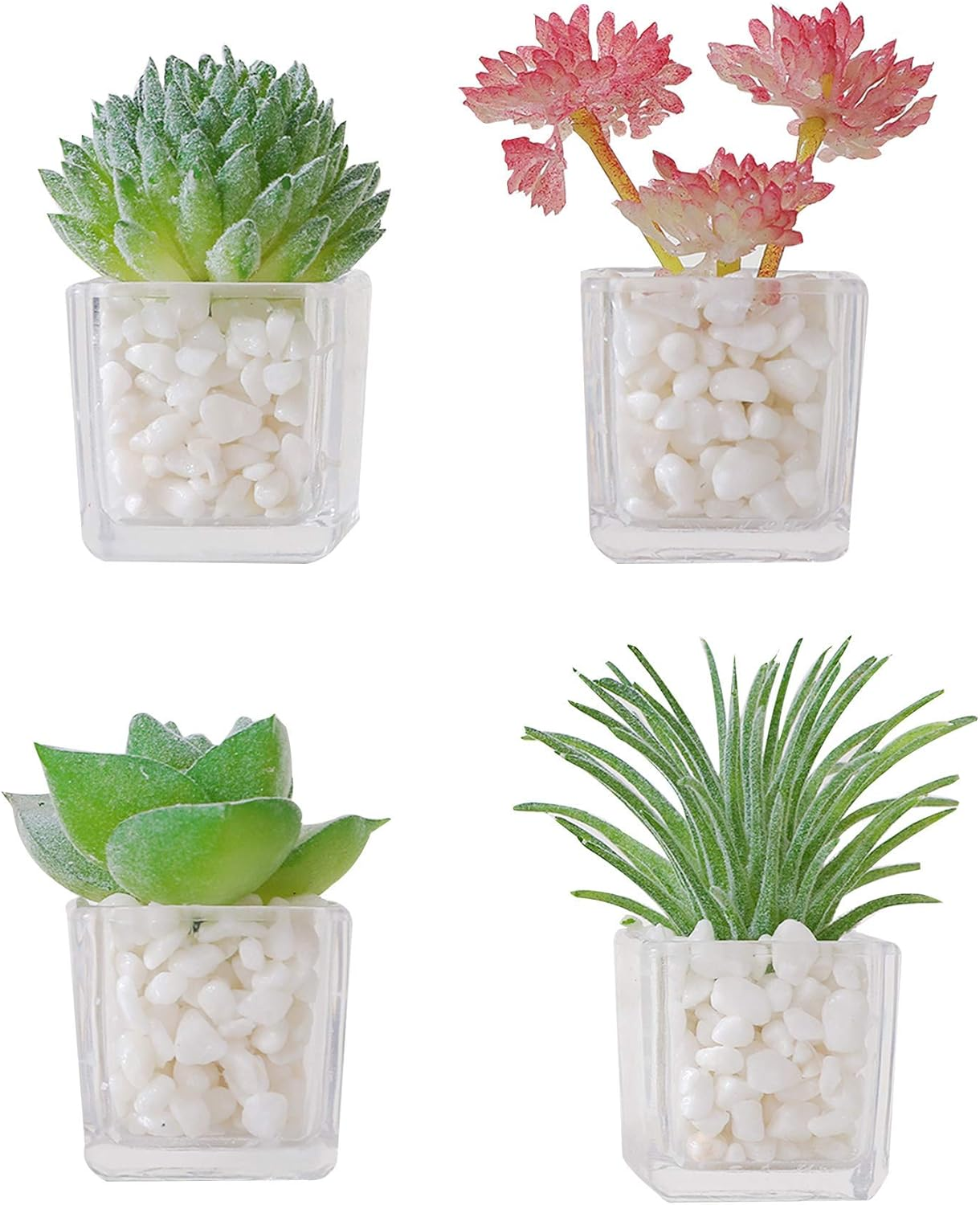 Cute Succulent Refrigerator Magnets Plants Fridge Magnets,Mini Artificial Magnets for Refrigerator Set of 4,Decoration Kitchen,Whiteboard,Office,House - Succulent image number 2