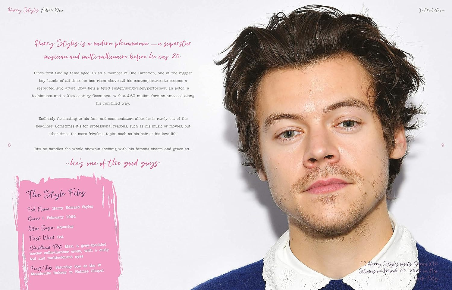 Harry Styles: Adore You: the Illustrated Biography image number 6