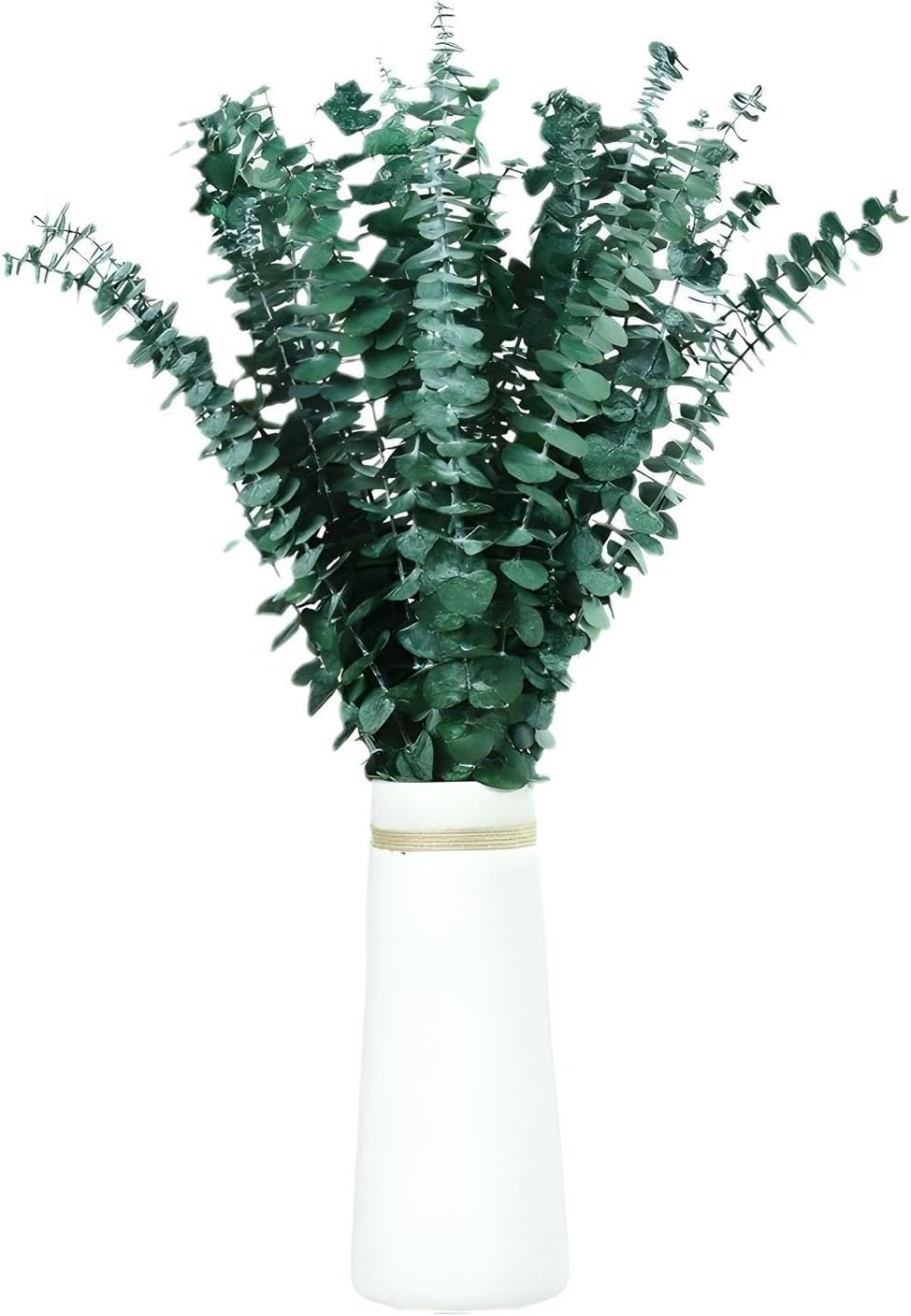 Dry Storage Large Packaging Eucalyptus Leaves - 30 PCS 16" True Leaf Branches - Dried for Shower Hanging, Flower Arrangement, Home Decor