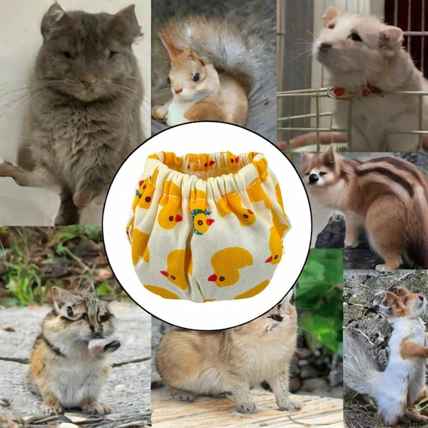 Fonowx Squirrel Diapers Reusable Pet Nappies Designed for Groundhogs and Fancy Rats, Type a S, as Described image number 1