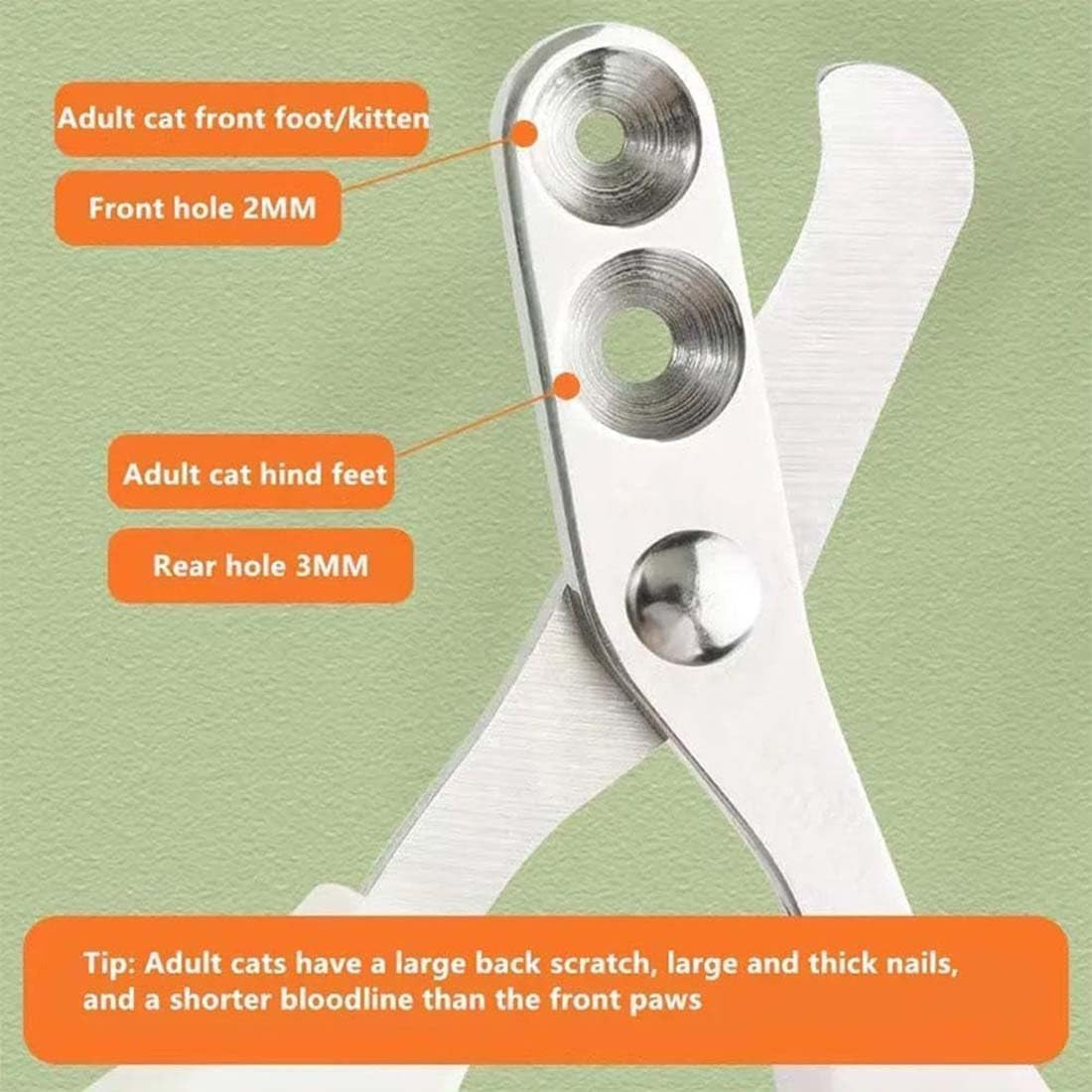 Cat Nail Scissors, Cat Nail Clippers with Protection, Cat Claw Cutter with 2 Mm and 4 Mm Hole, Cat Nail Scissors, Professional Claw Cutter, Cat Nail Clipper for Small Dogs, Puppies, Cats with File image number 5