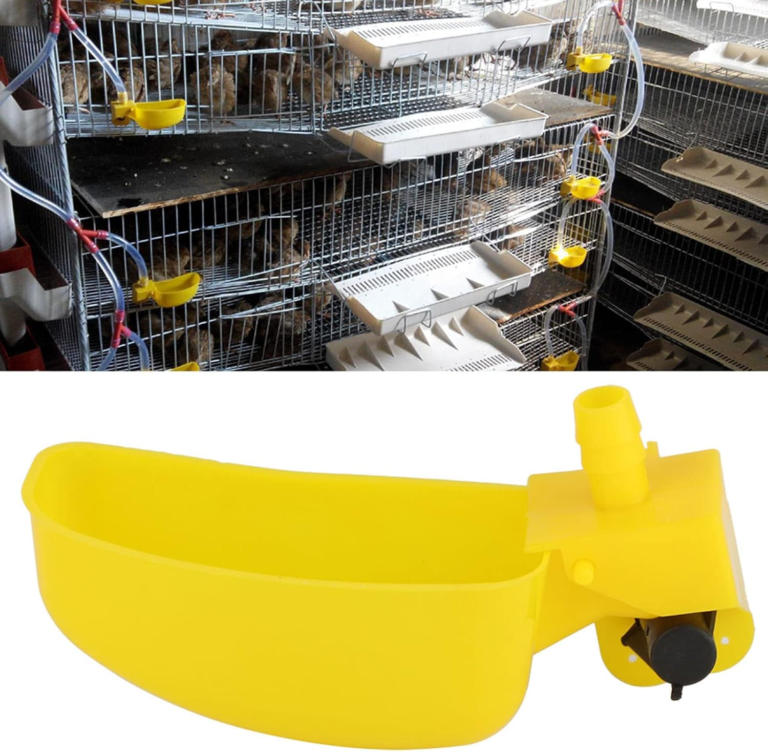 12Pcs Quail Water Cups, Plastic Poultry Waterer Feeder Breeding Equipment, Quail Automatic Bird Waterer, Poultry Drinking Bowls for Chicken Bird Quail Drinker, Farming Tools image number 5