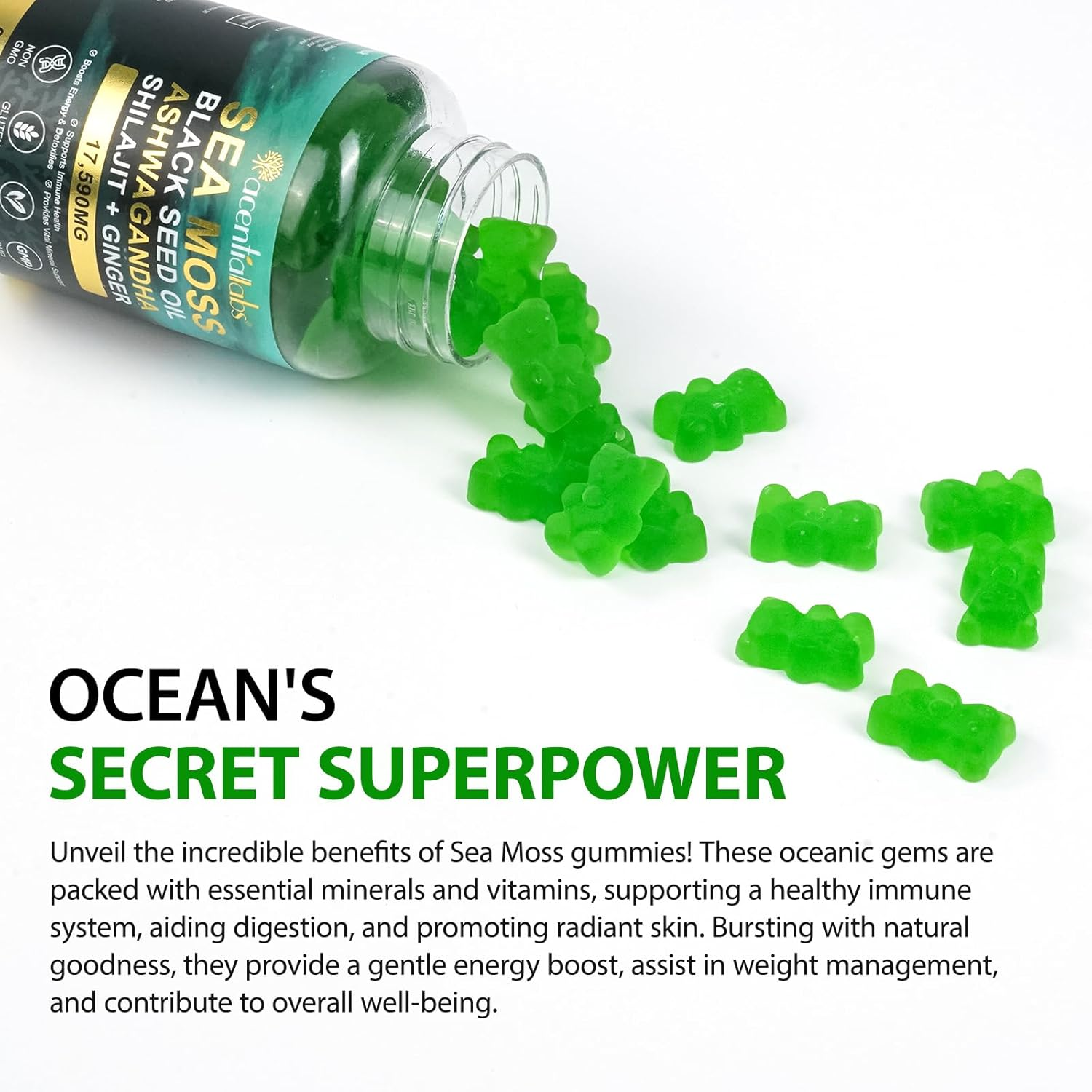 Sea Moss, Black Seed Oil, Ashwagandha, Ginger, Shilajit Gummies with Elderberry, Chlorophyll, Turmeric, Bladderwrack 17590Mg Advanced Strength Formula - All in 1 Formula - 60 Gummies image number 3